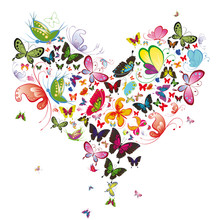 Butterfly Heart, Valentine Illustration. Element For Design