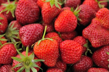 Wall Mural - Delicious and juicy berries