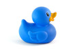 single blue rubber duck