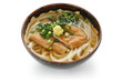 kitsune udon , japanese noodle dish