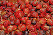 Freshly Harvested Nutmeg Fruit
