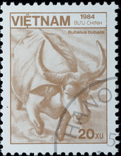 VIETNAM - CIRCA 1984:  Stamp - Wild Animal Water Buffalo