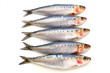 Five fresh sardine fish
