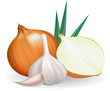 Onion and garlic.