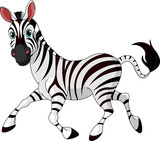 Fototapeta Zebra - Funny running   Zebra