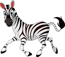 zebra-free-stock-photo-public-domain-pictures