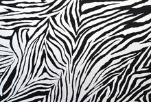 Zebra Style Fabric