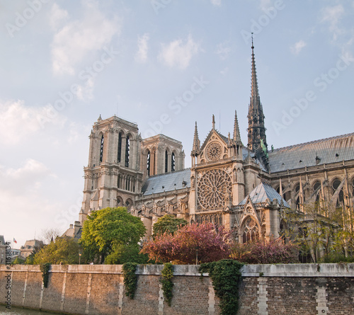 Plakat Notre Dame de Paris wiosną