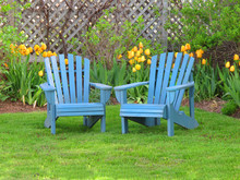 Backyard Chairs