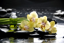 Spa With Orchid And Essential Oil And Palm Leaf