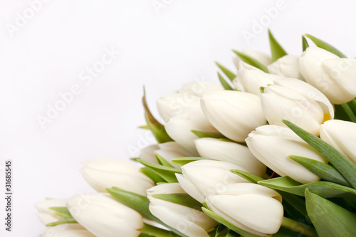 Dekoracja na wymiar  piekne-tulipany