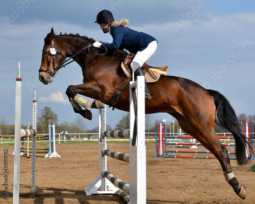 Naklejka na kafelki Horse show jump