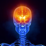 Fototapeta  - X-ray brain medical scan front view