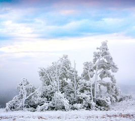 Poster - Winter scene