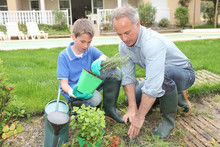 Father And Son Planting Flowers In House Garden