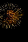 Fototapeta Dmuchawce - A burst of golden fireworks against a night sky.