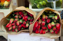 Tulips On The Market