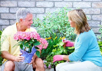 Poster - Gardening