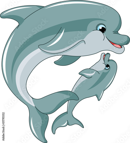 Dolphin mother and baby