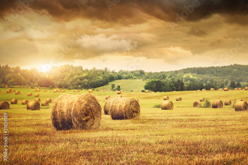 Naklejka na meble Field of freshly bales of hay with beautiful sunset