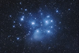Fototapeta Na sufit - Pleiades, M 45