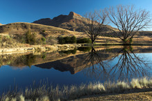 Landscape Reflection In A Dam In The Drakensberg