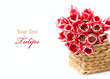 Red tulips in a basket isolated on white background