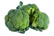 fresh raw broccoli isolated on white background