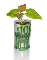 Wall Mural - Tree growing from euro bill