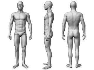male body