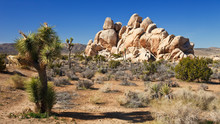 Mojave Desert Panorama