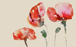© bittedankeschön - mohnblumen mit kapseln