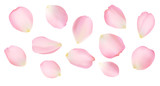 Rose petals