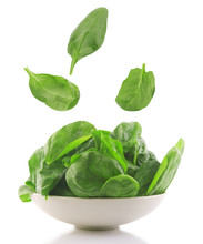 Fresh Spinach In A White Bowl