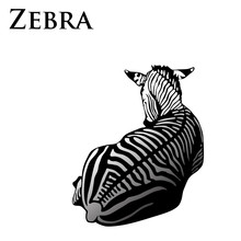 Colored Zebra Lying Down Vector Illustration