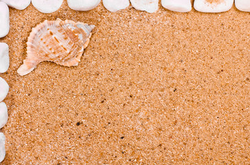 Wall Mural - Sea shells  frame on sand