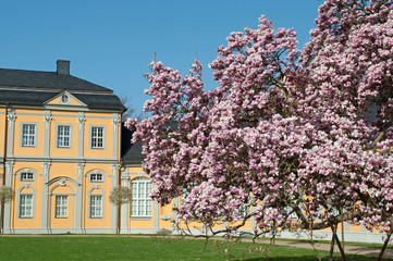 Wall Mural - Orangerie in Gera