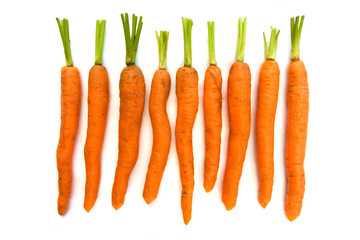 Wall Mural - Line of carrots over white