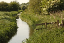 Small English River In The Countryside