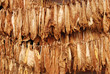 Drying of tobacco