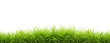 Leinwandbild Motiv fresh spring green grass