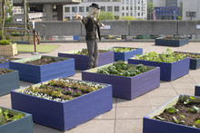 Rooftop garden at South Bank Centre. London. England