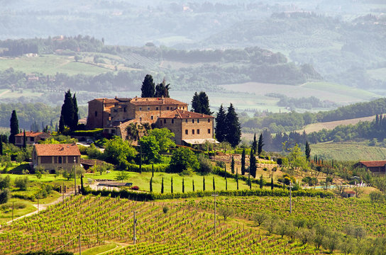 toskana weingut - tuscany vineyard 03