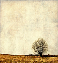 Vintage Landscape Illustration, Alone Tree