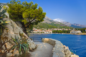 Poster - View to Makarska, Croatia