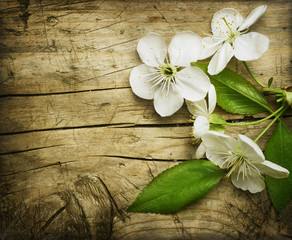 Fotomurales - Spring Blossom over wooden background