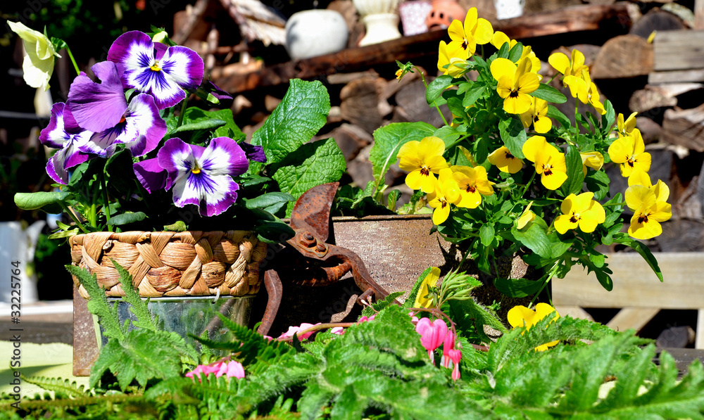 Gamesageddon Stock Romantischer Garten Terrasse Dekoration