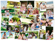 © WavebreakMediaMicro - Collage of cute families having fun