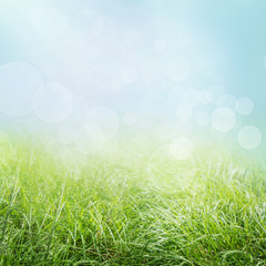 Poster - Spring nature background with grass and bokeh lights.