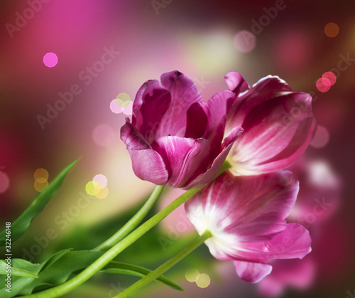 Naklejka ścienna Flowers. Anniversary Card Design